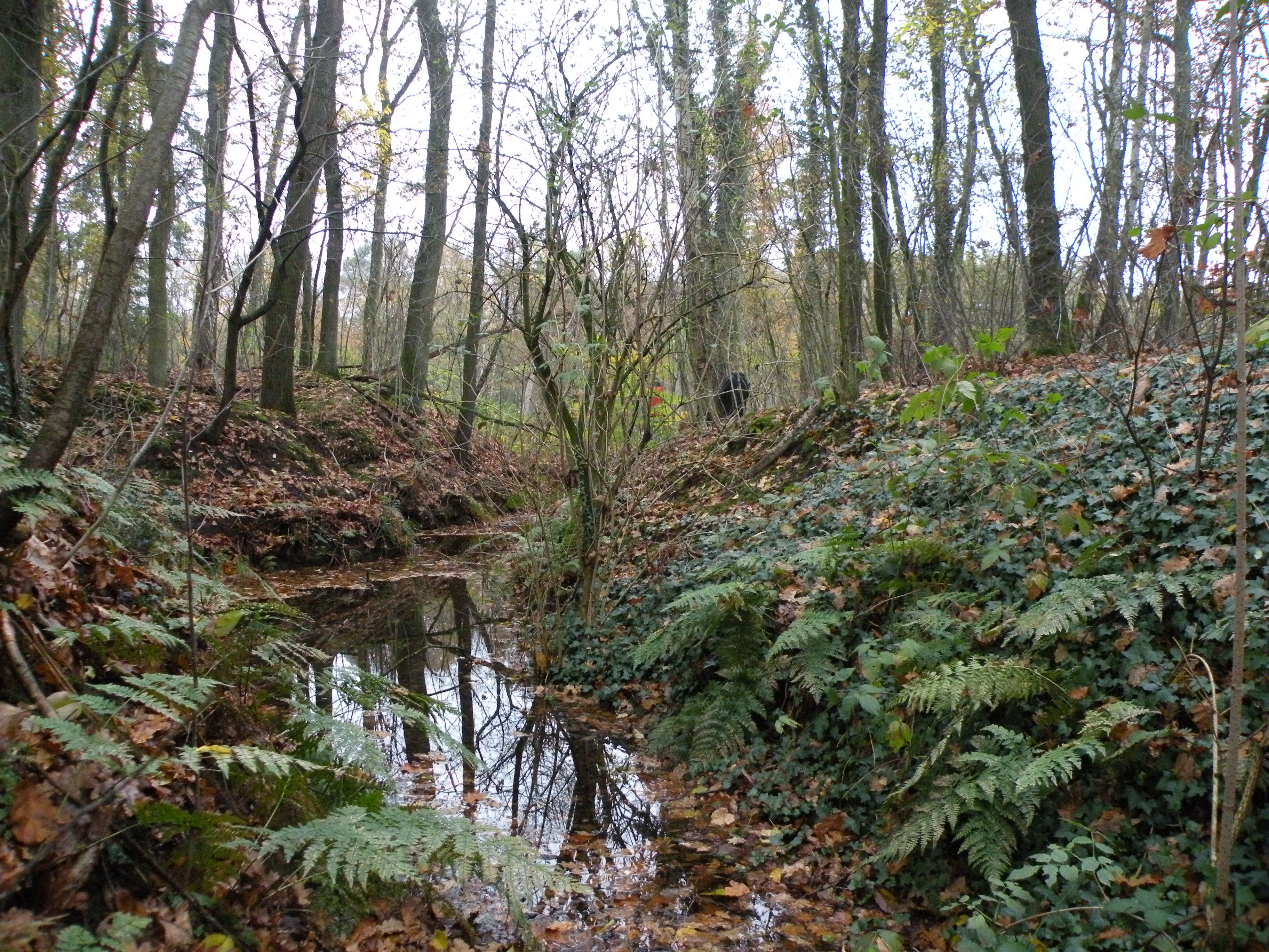 Archeologiewandeling 'op pad met Moerman'